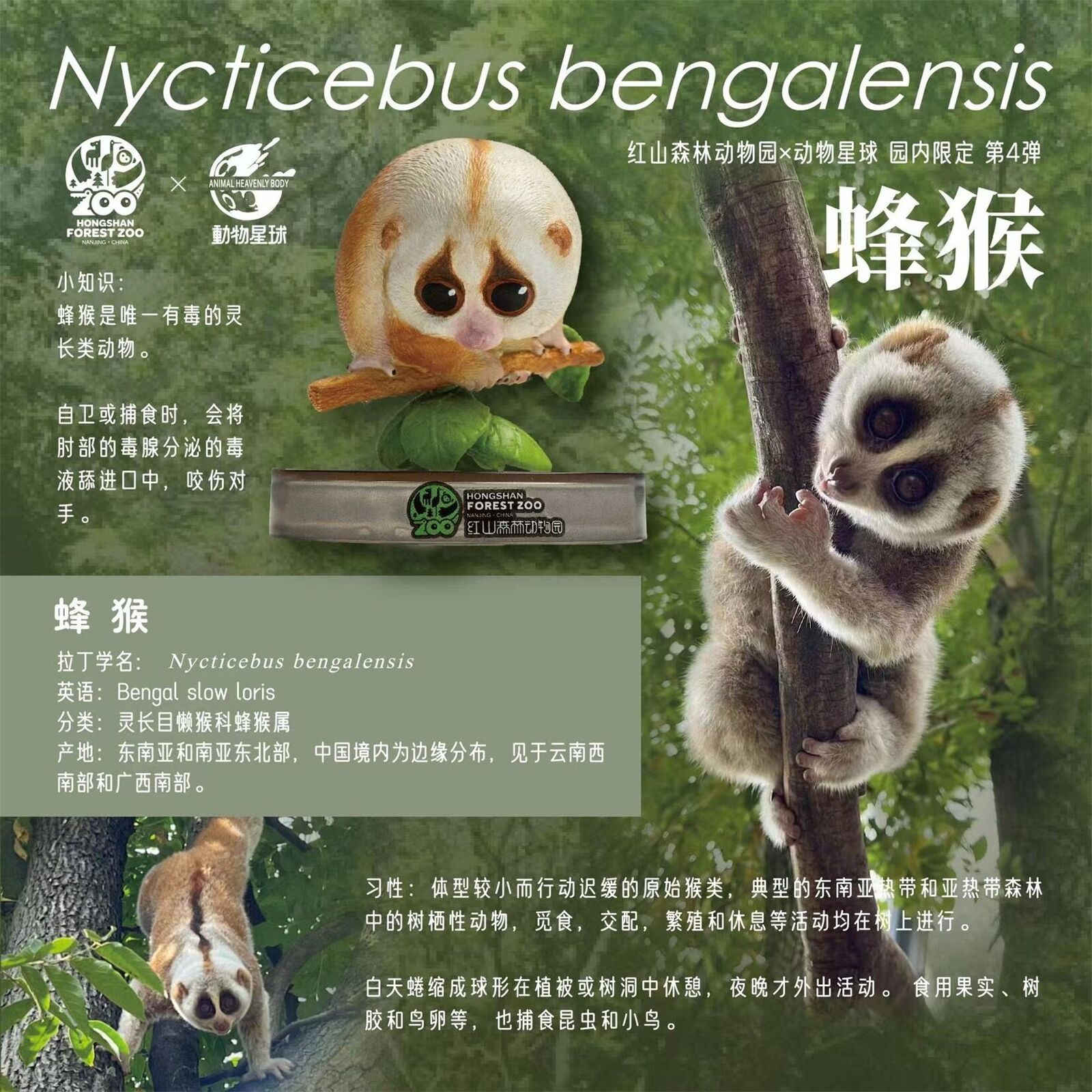 Hongshan Forest Zoo NO.4 Blind Box Model