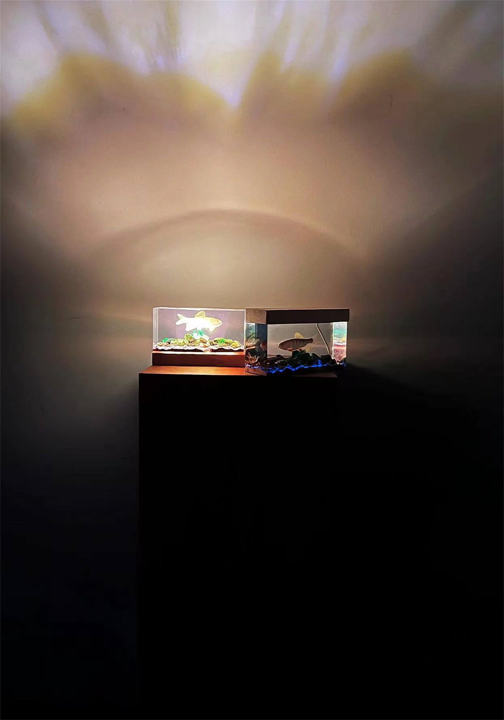 Ochetai Barbel Night Light Fish Figurine