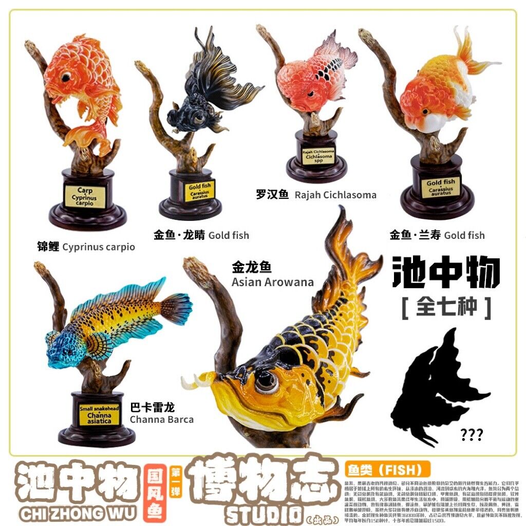 Things In The Pond Fish Blind Box Model