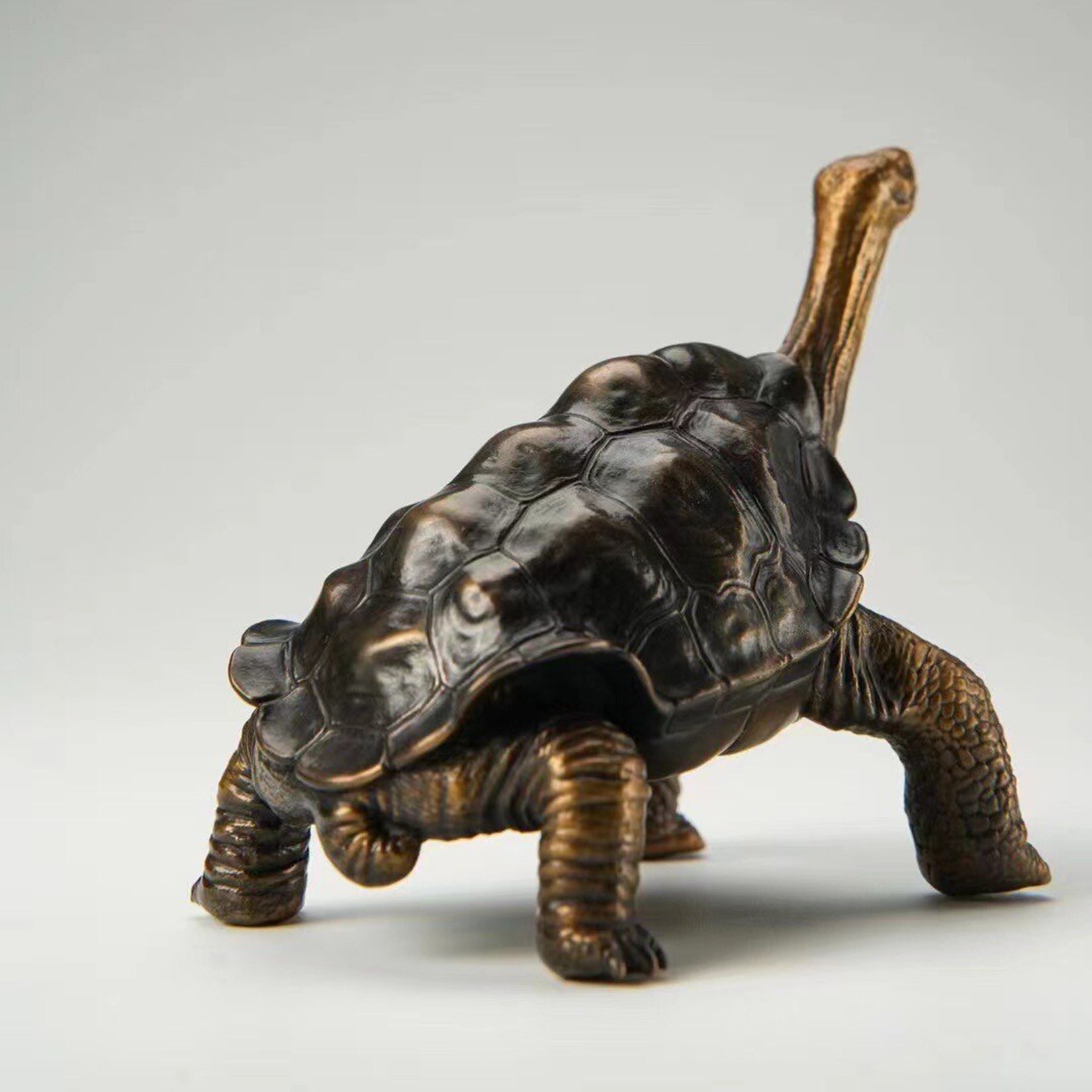 BOWUZHI Studio ‌Galapagos Giant Tortoise Figure