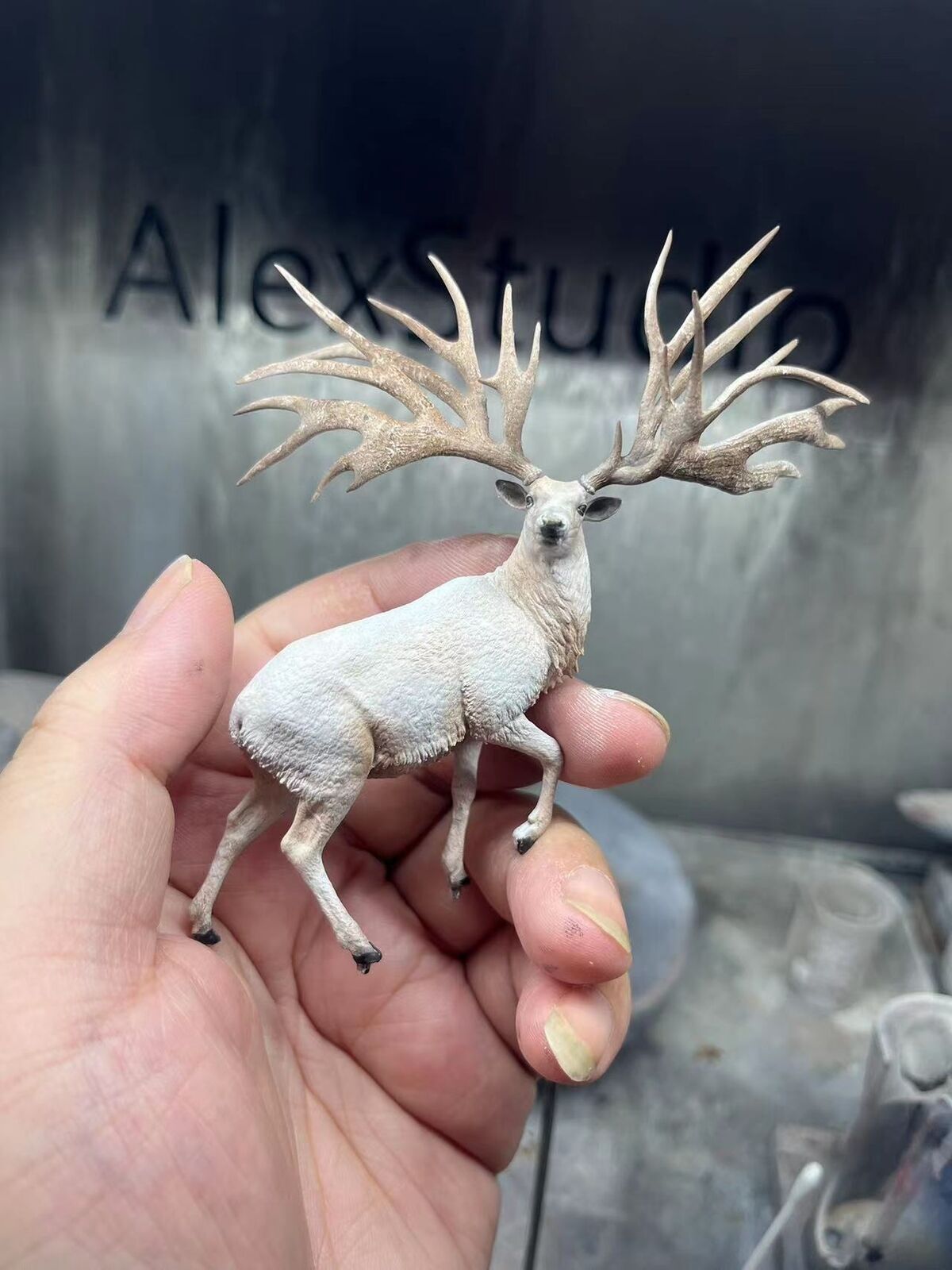 Alex Studio Eucladoceros Model