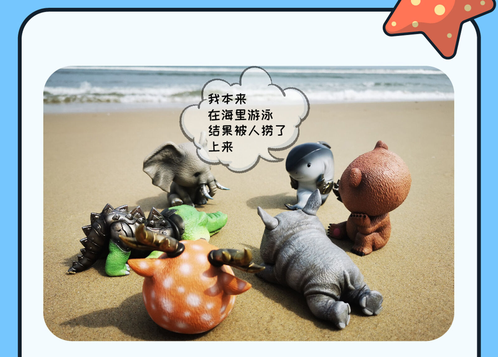 Animal Protection Act Studio Shark Model