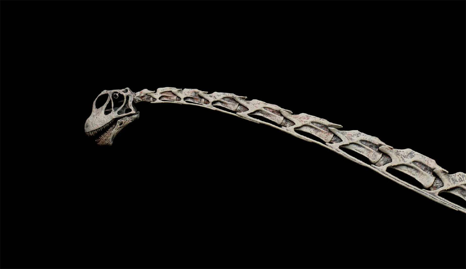VWUVWU 1/20 Mamenchisaurus Youngi Skeleton Model