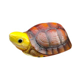 Animal Heavenly Body 19 Turtle Blind Box Model