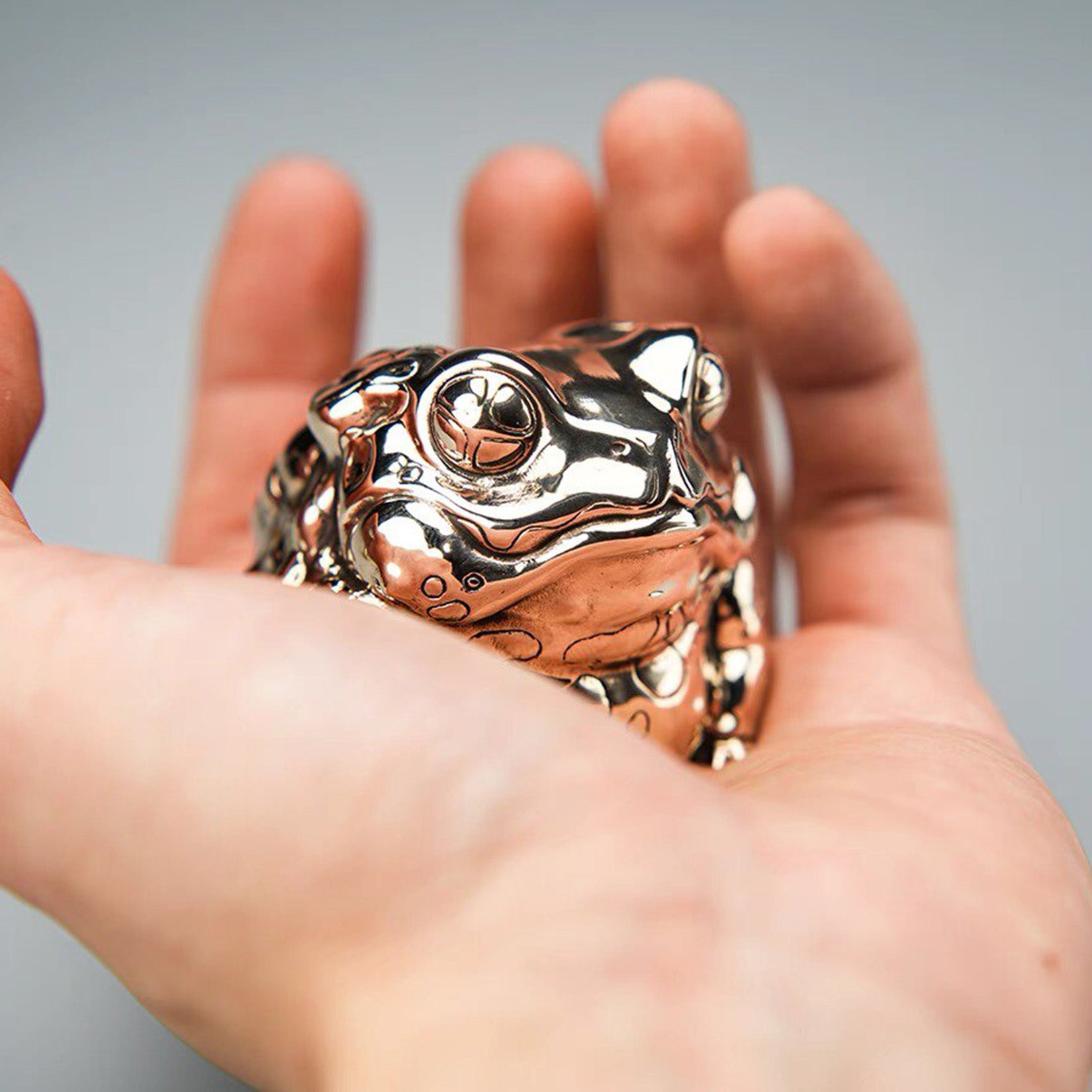 BOWUZHI Studio ‌Toad Model Animal Figure Collector