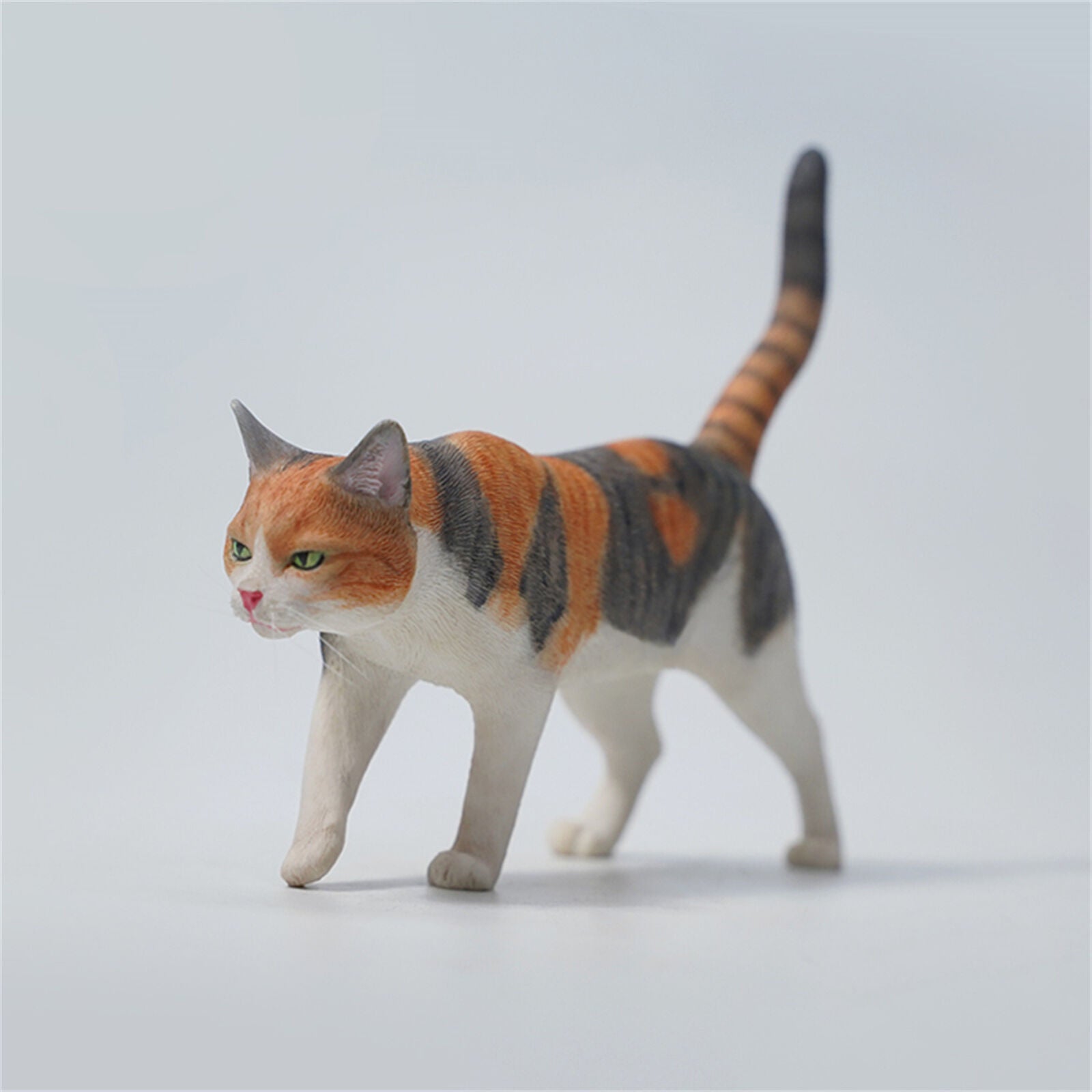 JXK 1/6 Felis catus Model