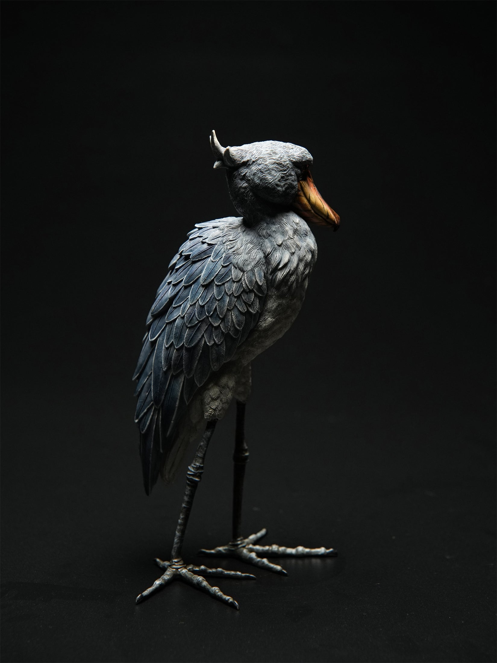 Shoebill Model