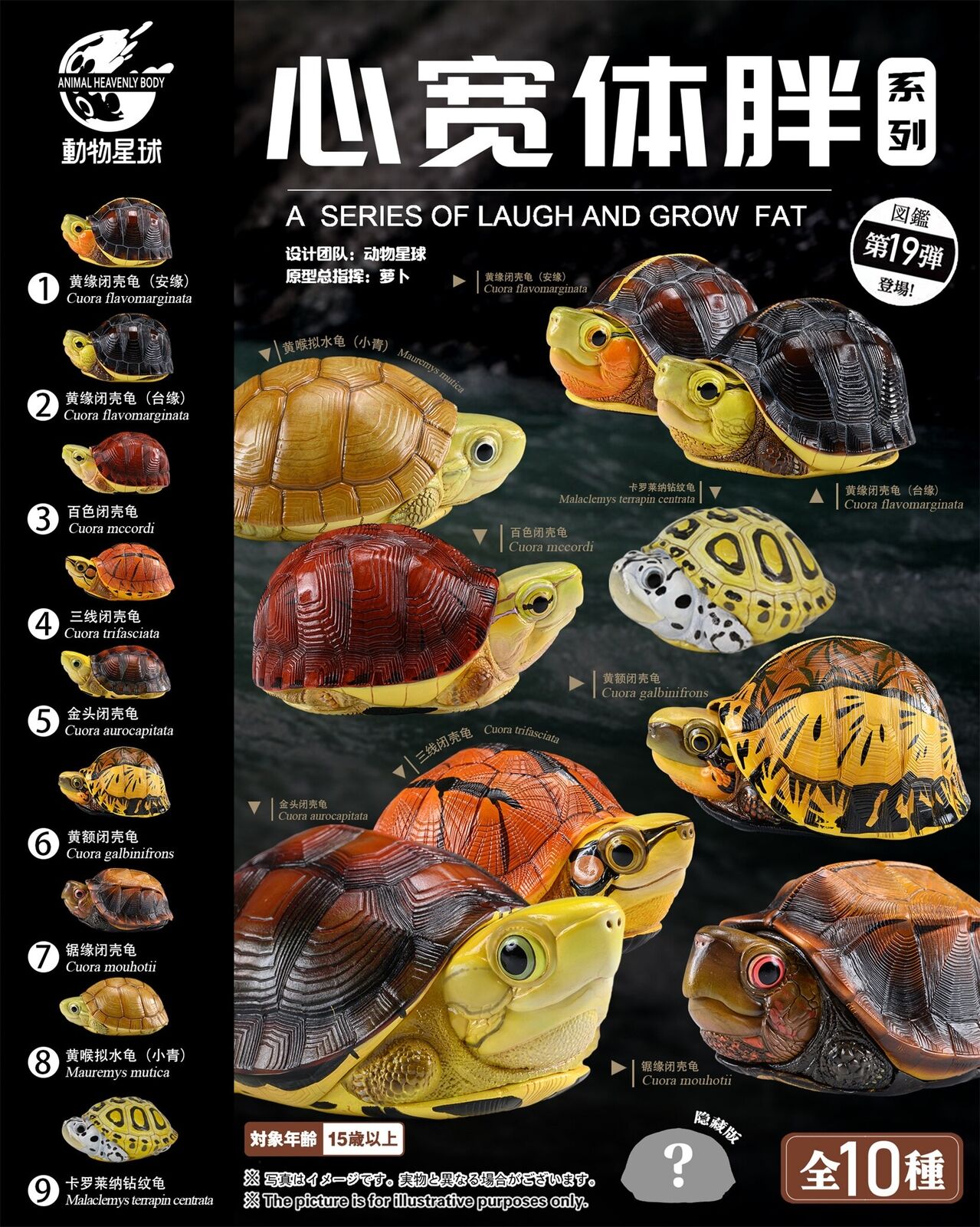 Animal Heavenly Body 19 Turtle Blind Box Model