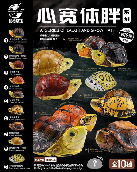 アトリエGG ChambleBlanche(turtle) 19½ アトリエGG ChambleBlanche(turtle) 19½（Turtle with Yearling