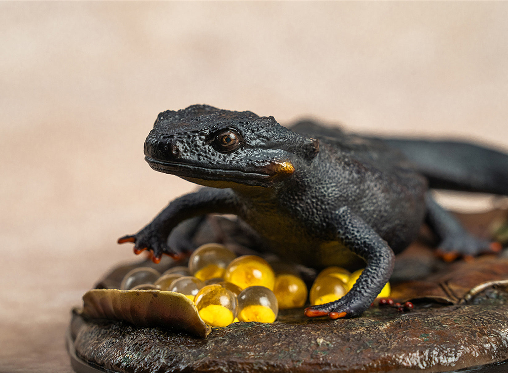 Echinotriton Chinhaiensis Model