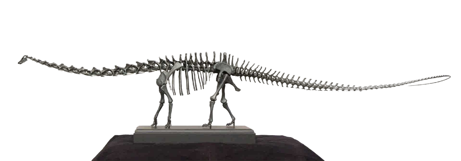 VWUVWU 1/20 Diplodocus Skeleton Model