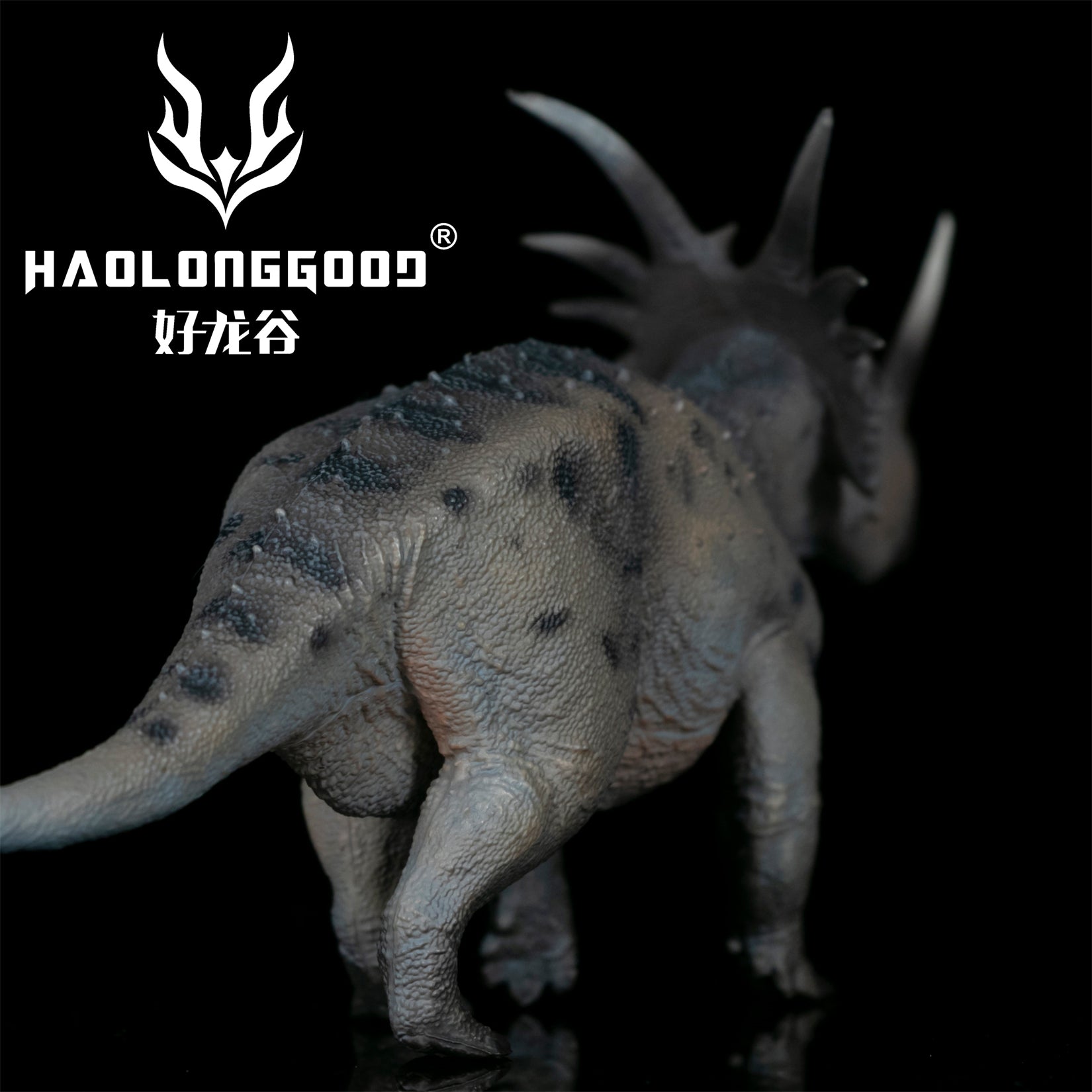 HAOLONGGOOD 1:35 Scale Styracosaurus Model