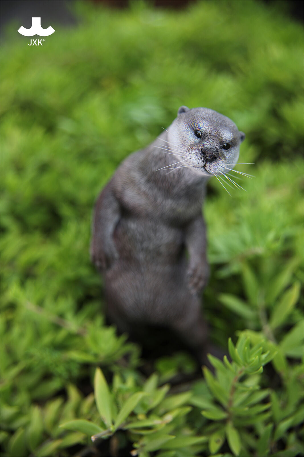 JXK 1/6 Eurasian River Otter Model