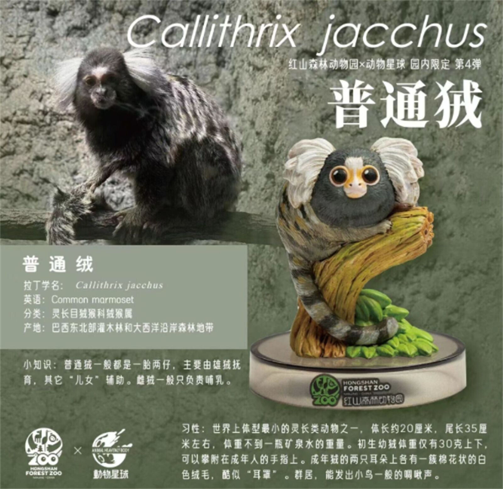 Hongshan Forest Zoo NO.4 Blind Box Model