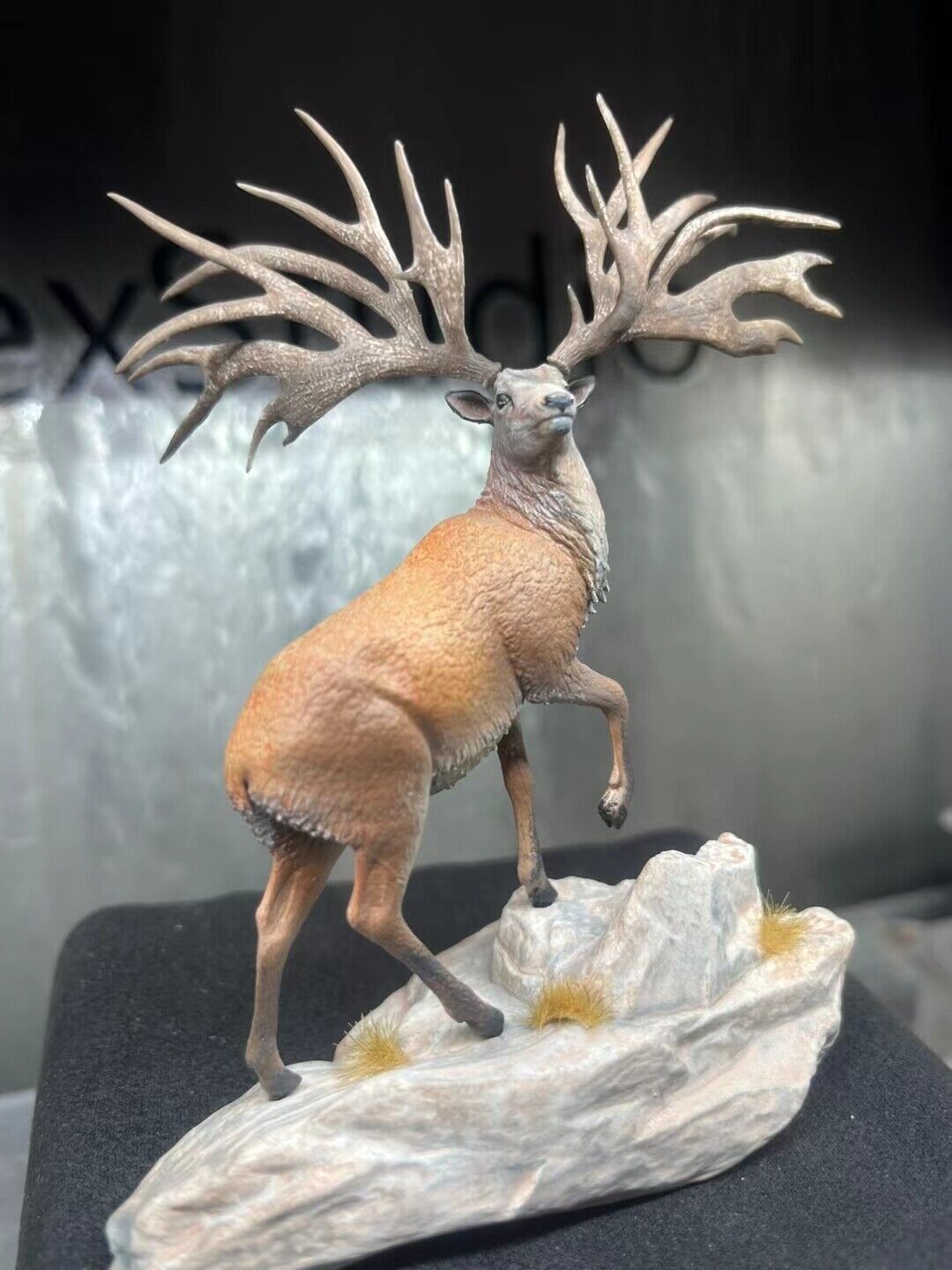 Alex Studio Eucladoceros Model