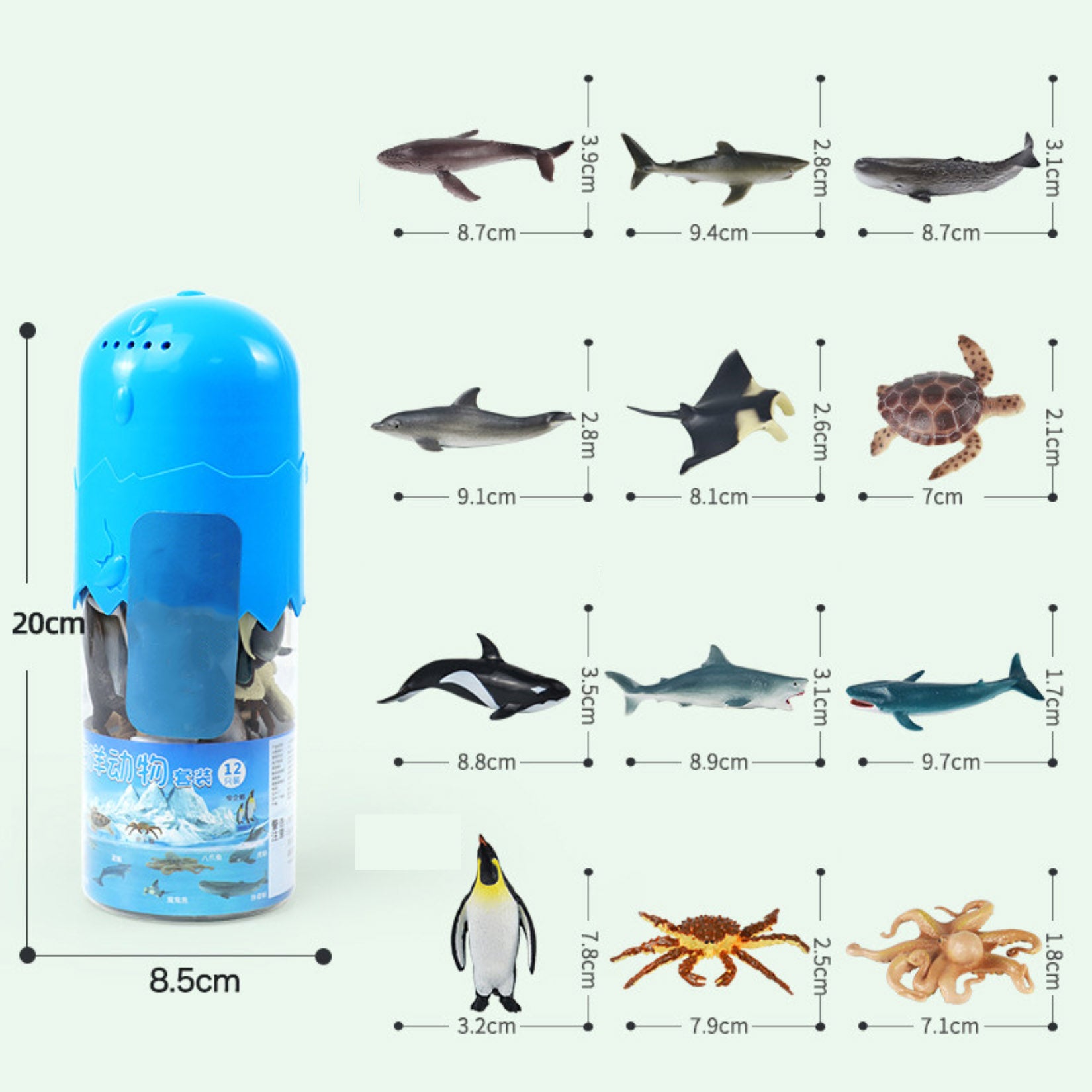 RECUR  Marine Animal Model Set