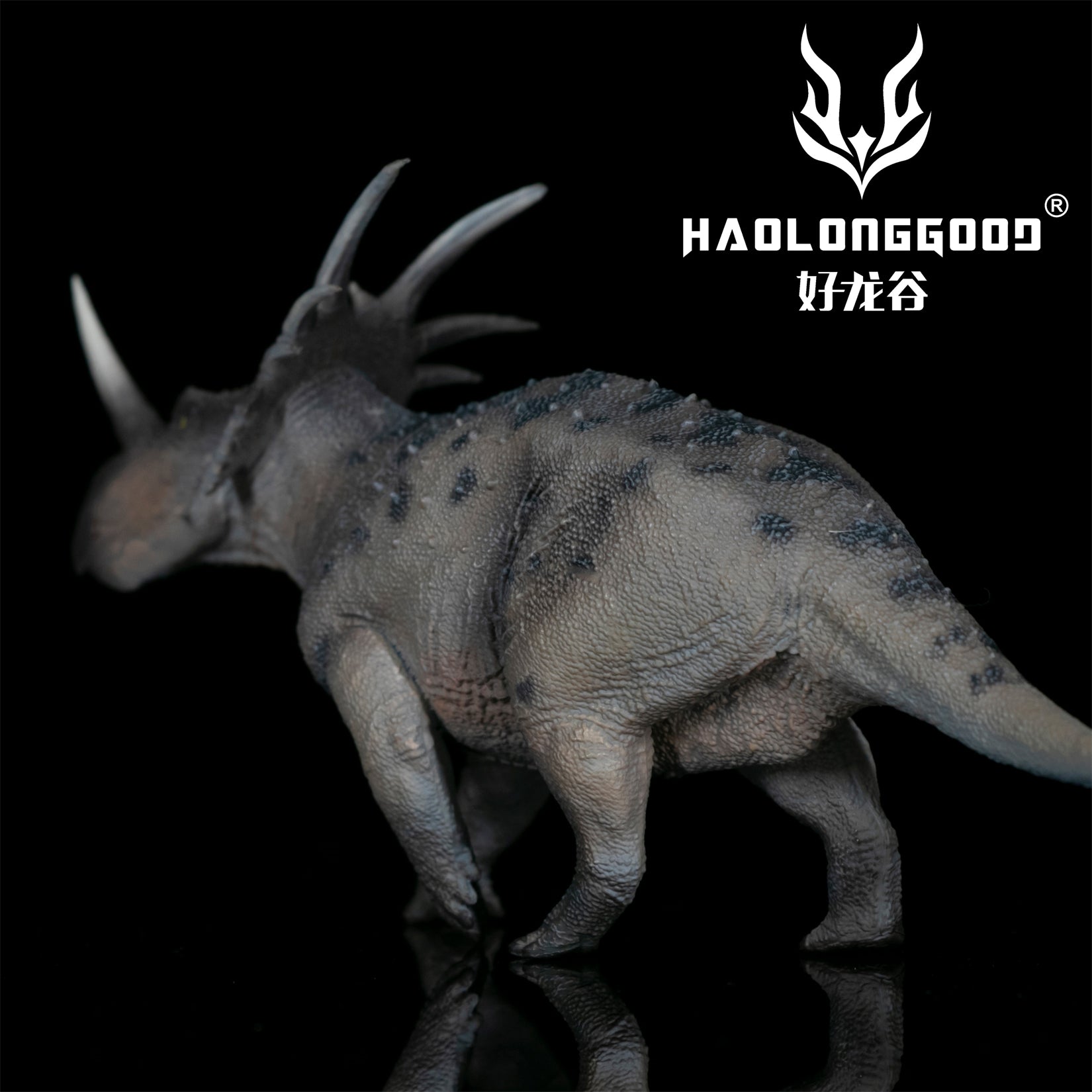 HAOLONGGOOD 1:35 Scale Styracosaurus Model