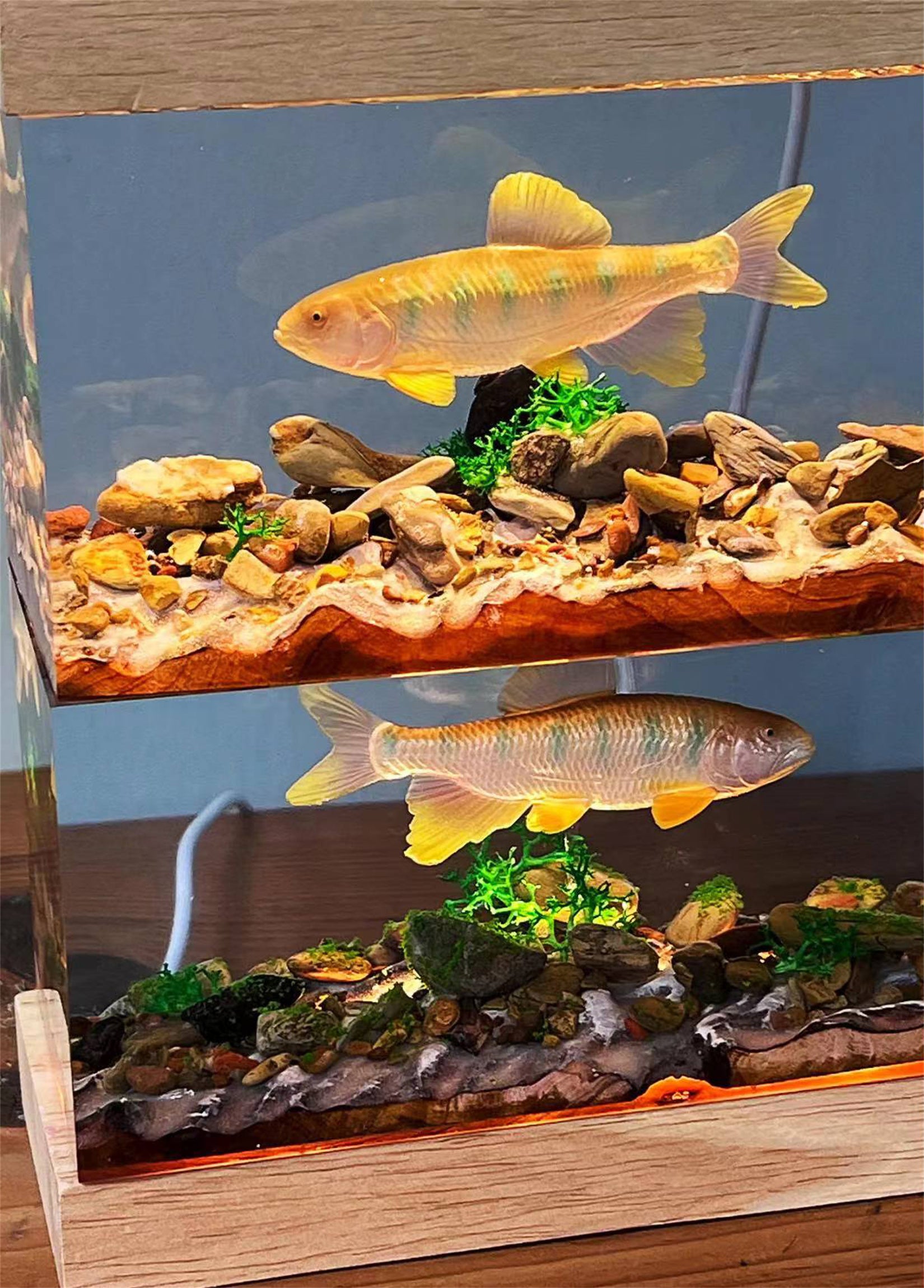 Ochetai Barbel Night Light Fish Figurine