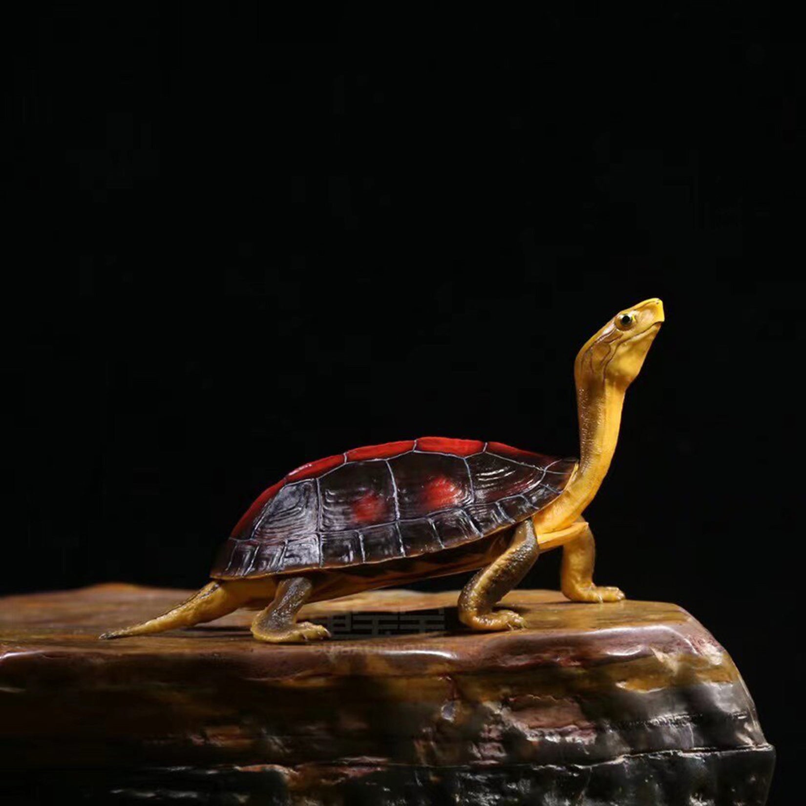 BOWUZHI Studio Cuora Aurocapitata Model