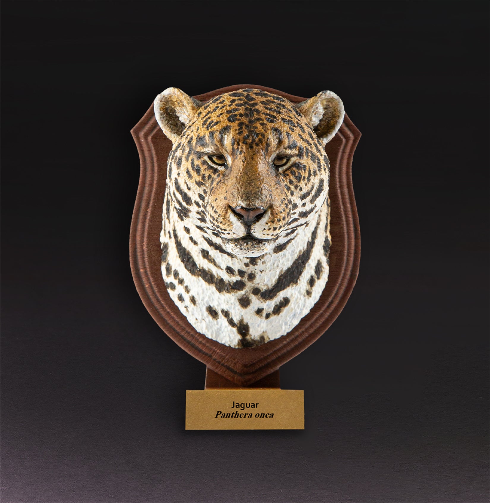 Animal Planet  World Encyclopedia Of Animals