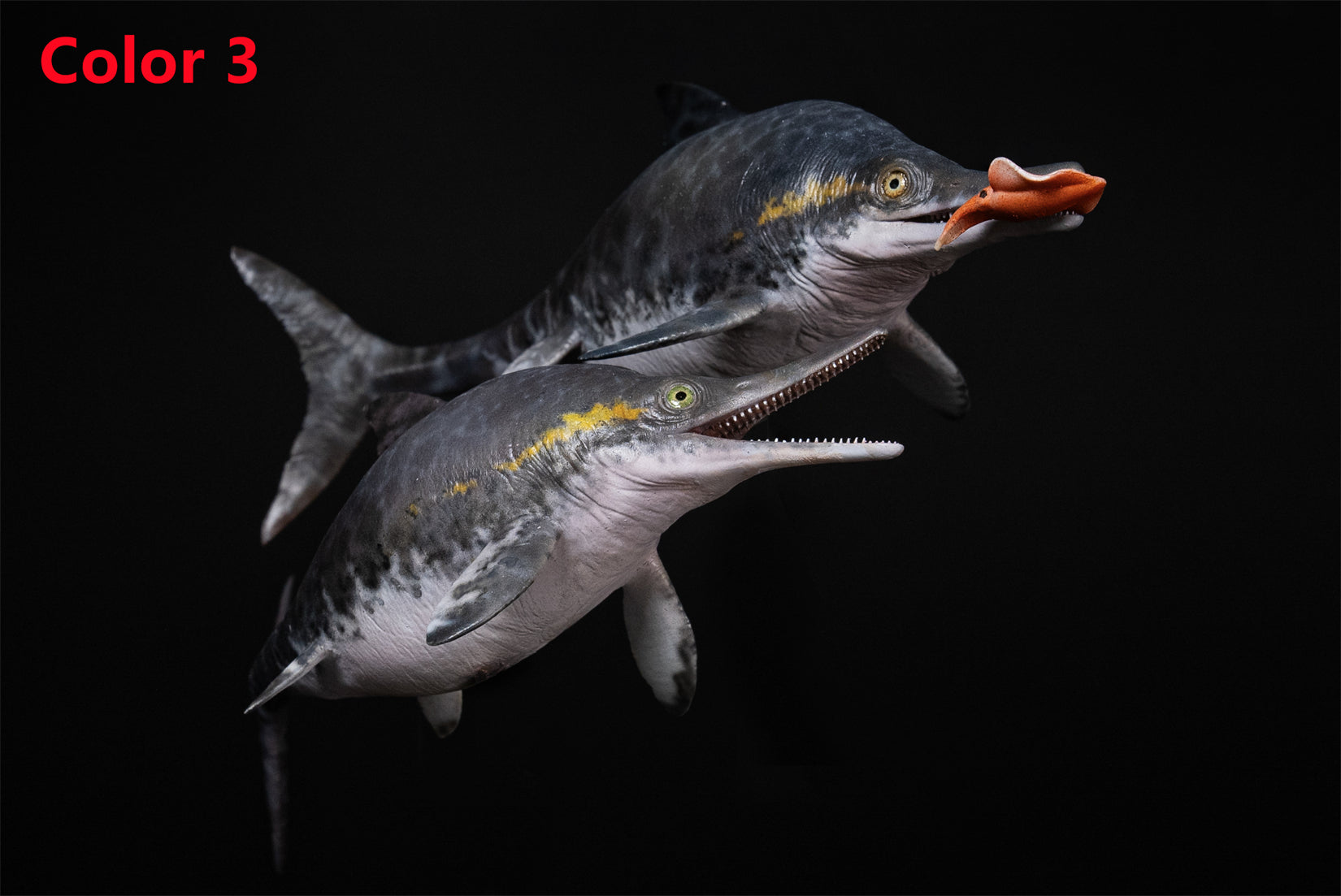 De CLAY Studio Ophthalmosaurus icenicus Model