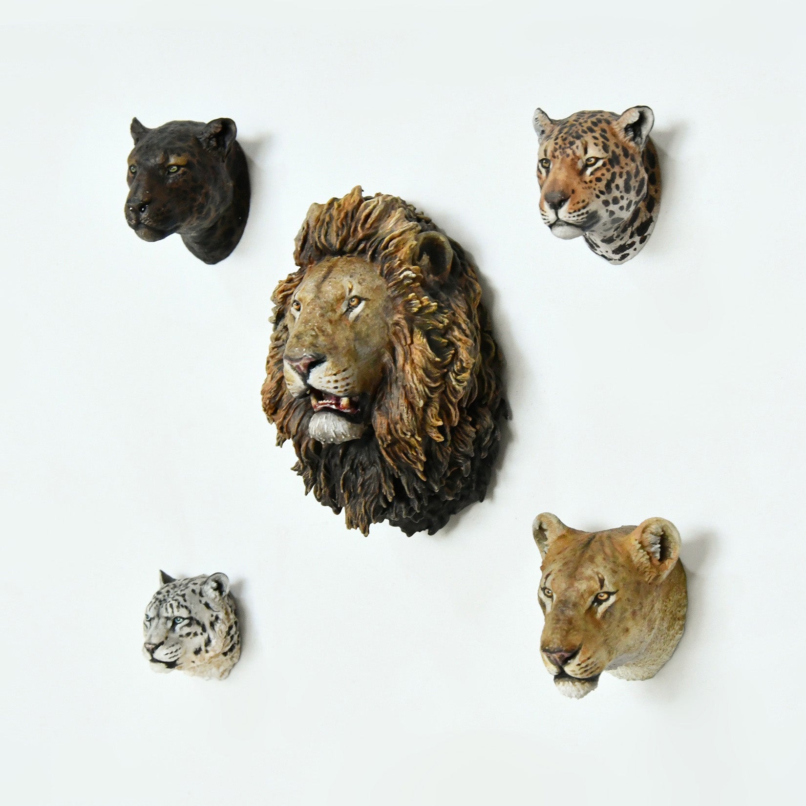 Schildkröten-Serie Tiermodell 