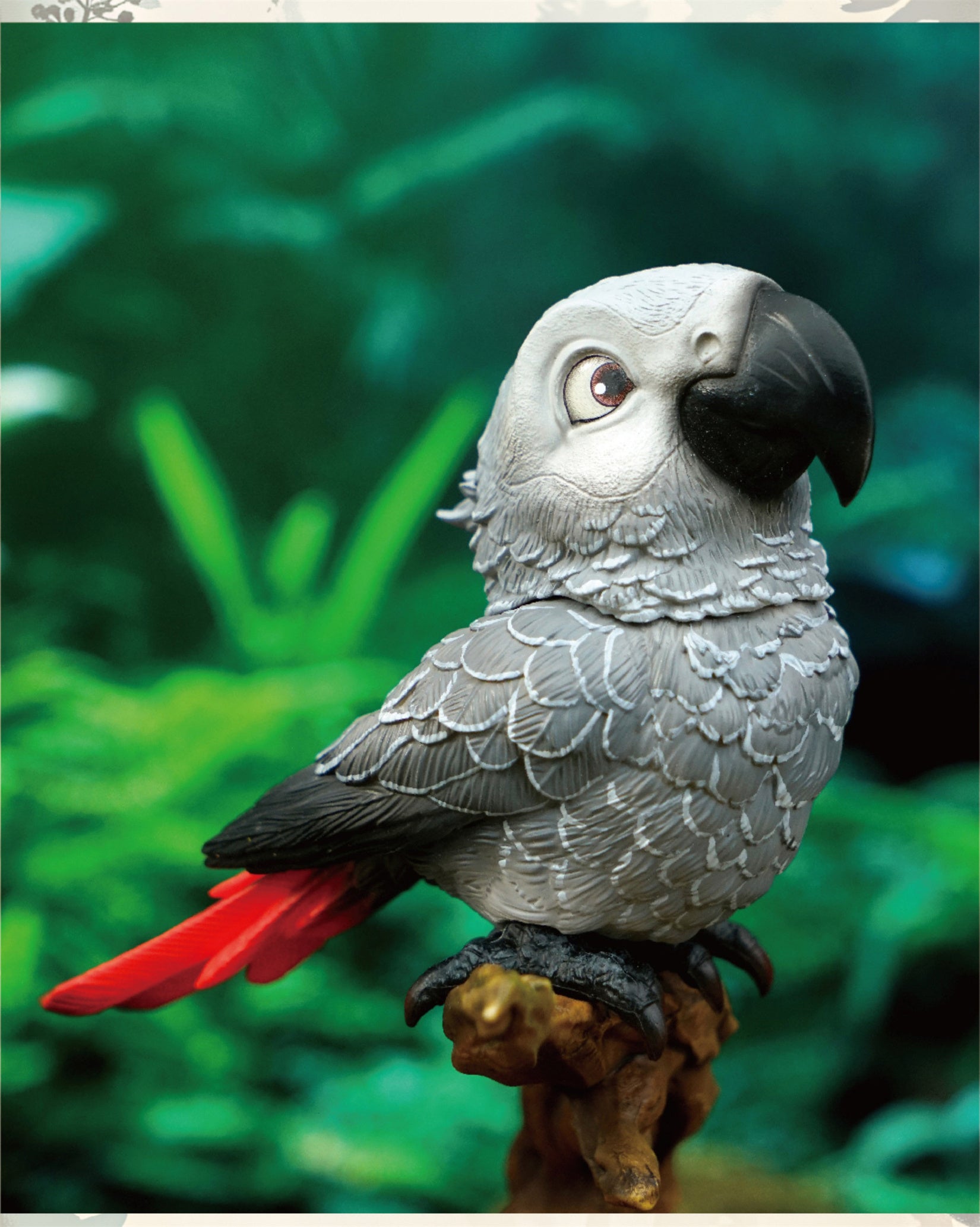 Psittacus Erithacus & Eolophus Roseicapilla Parrot Model