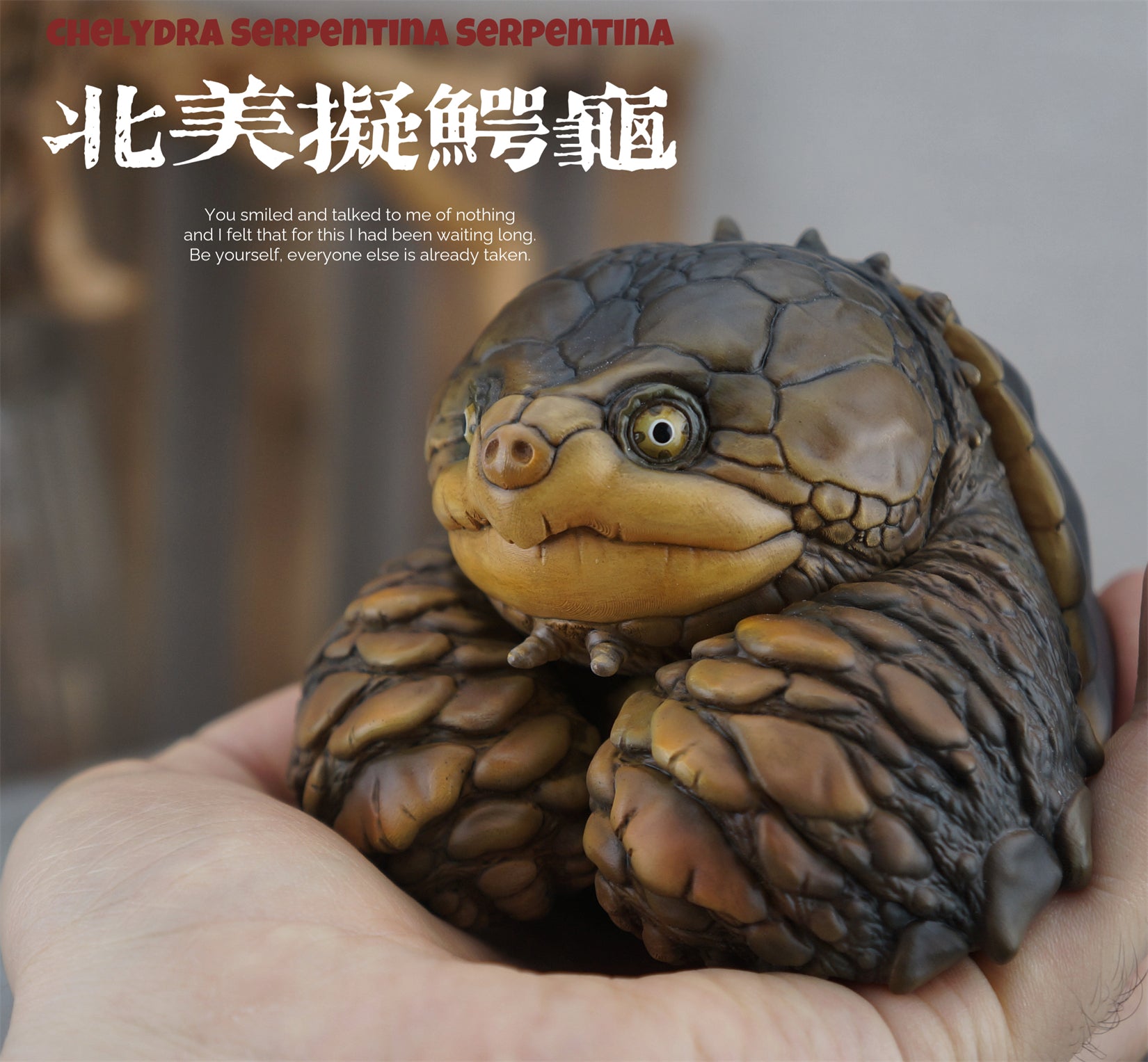 Common Snapping Turtle‌ & Ploughshare Tortoise‌ Figure