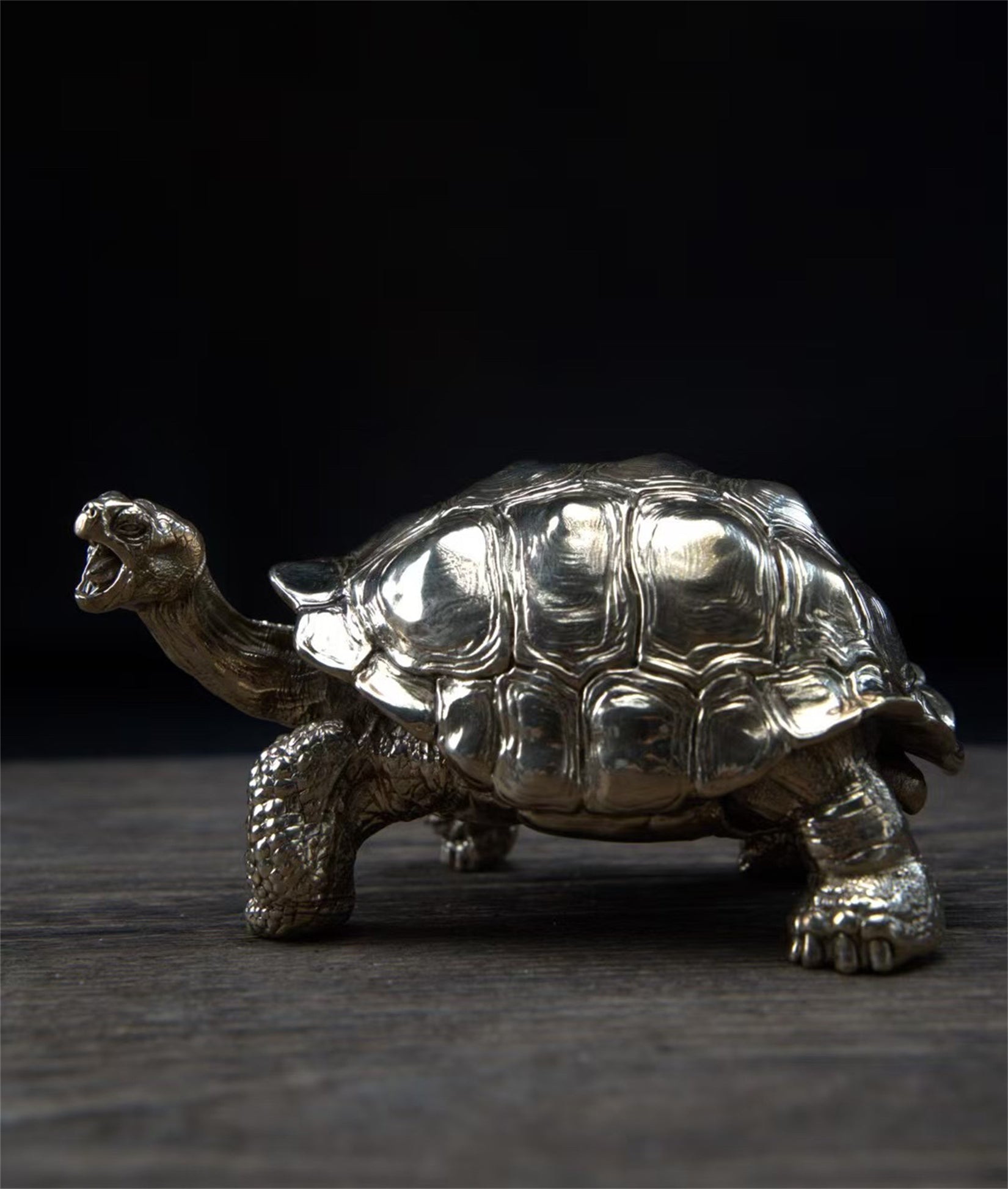 BOWUZHI Studio Chelonoidis Niger Model