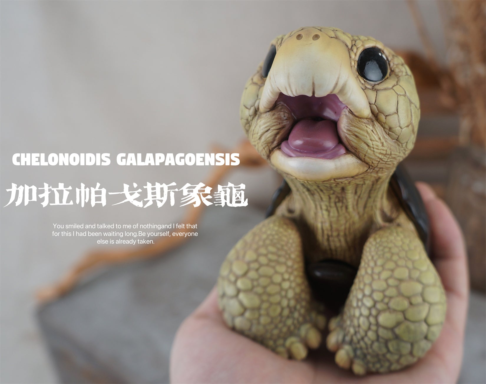 BOWUZHI Studio Geochelone Carbonaria & Chelonoidis Galapagoensis Model