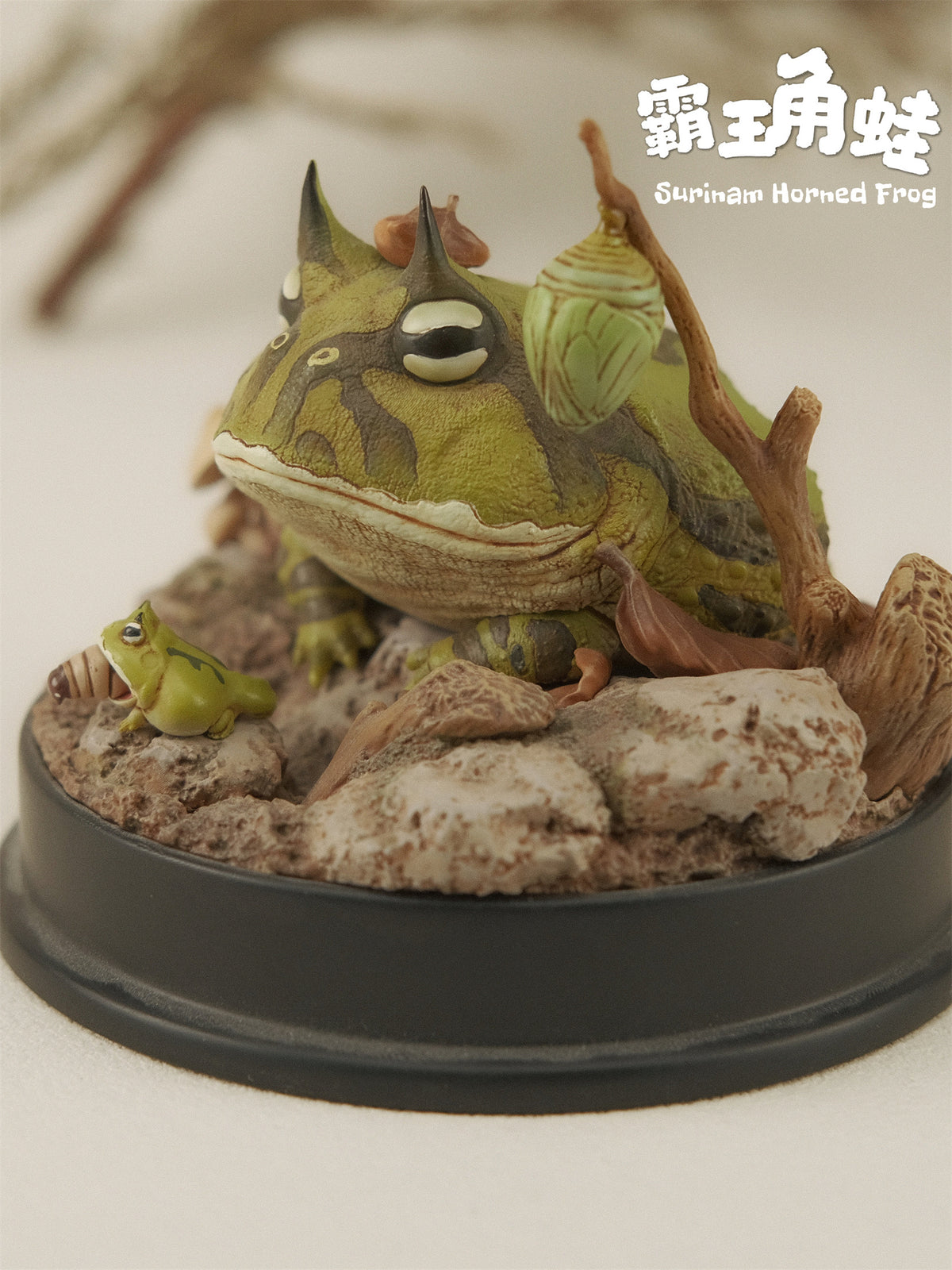 Bowuzhi Studio Limited Edition Surinam Horned Frog Scene Model