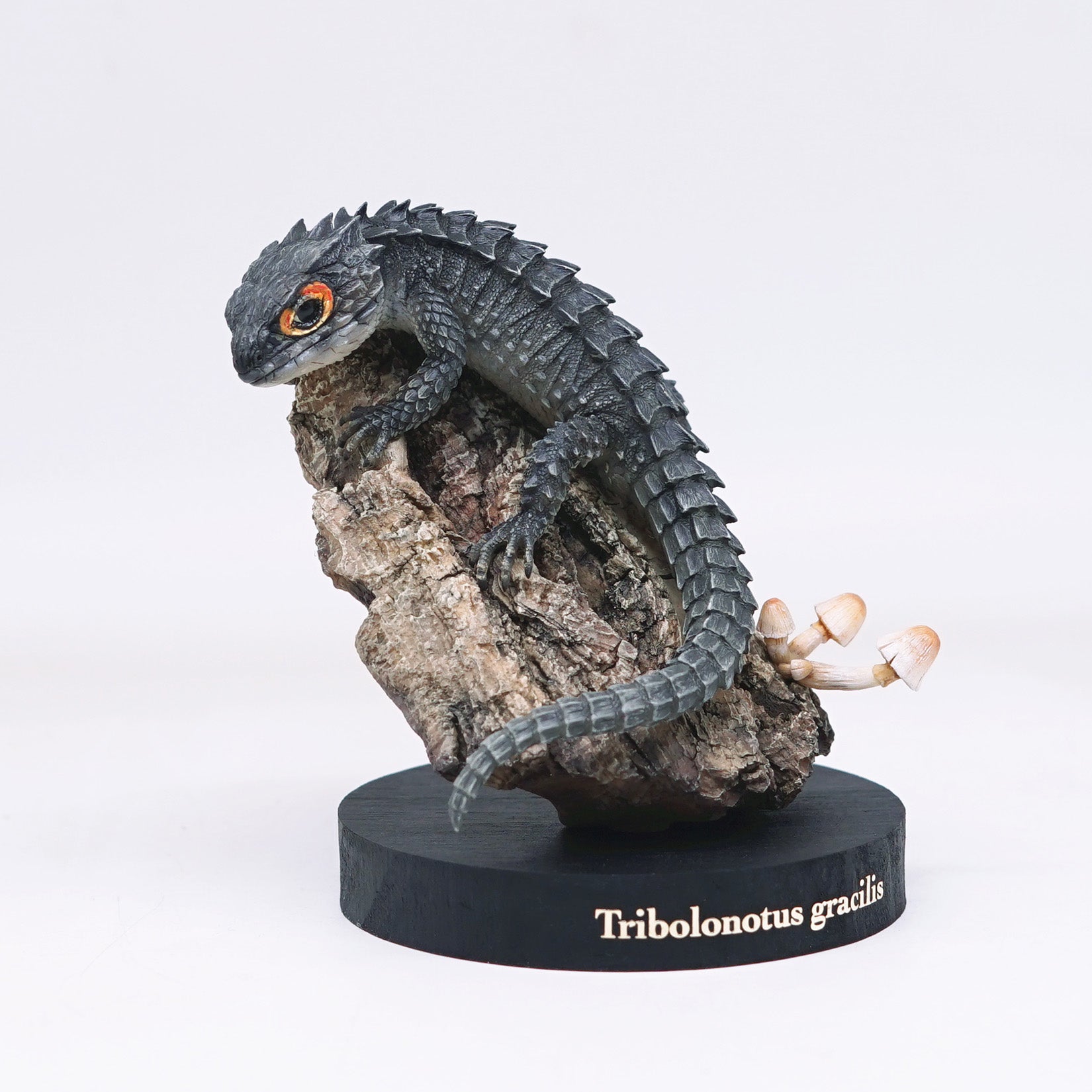 Schildkröten-Serie Tiermodell 