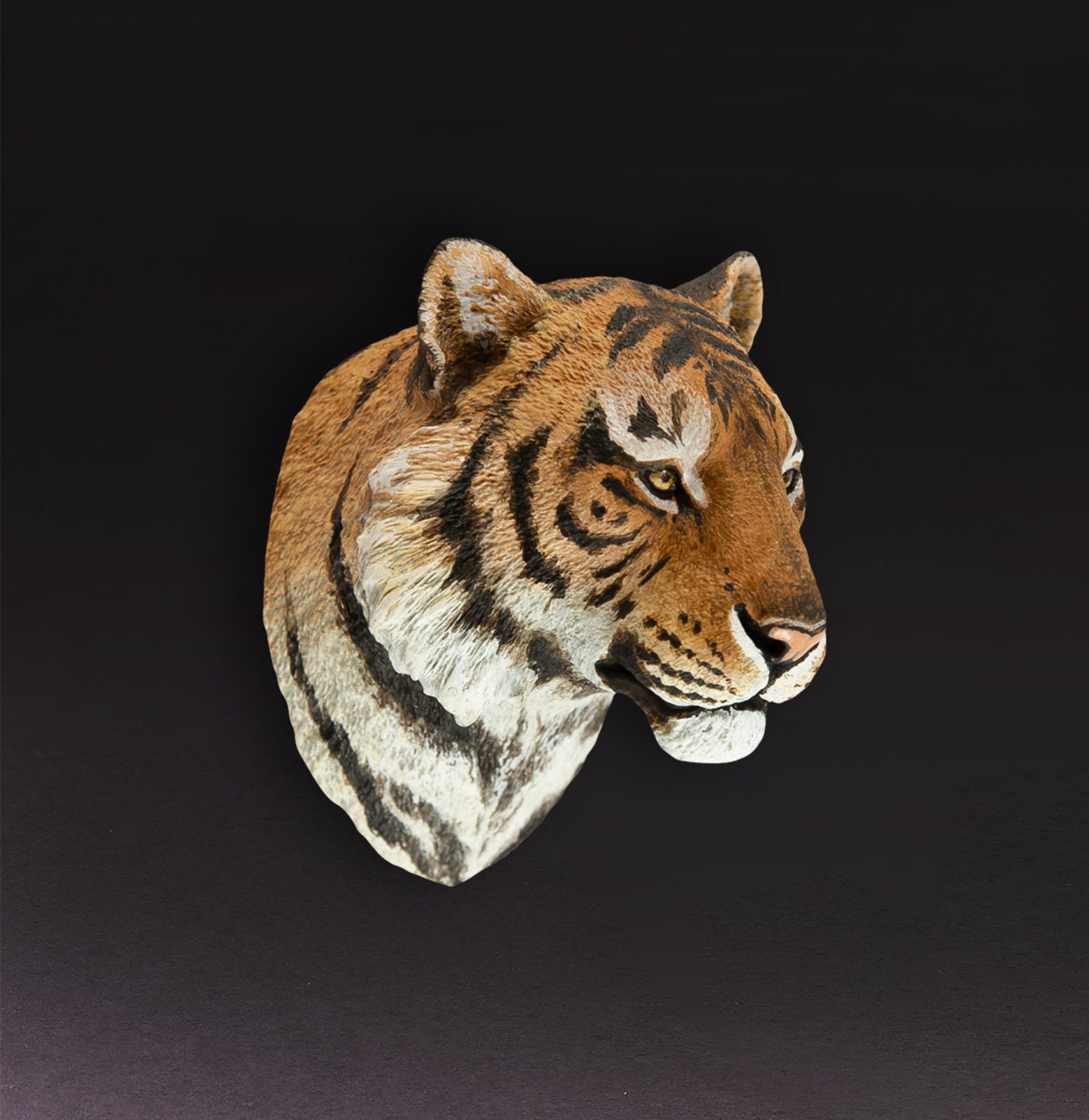 Animal Planet  World Encyclopedia Of Animals Volume 2