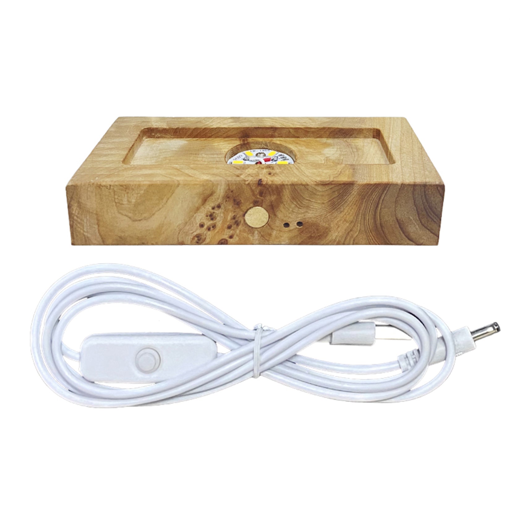 The Shark & Divers Ocean Model