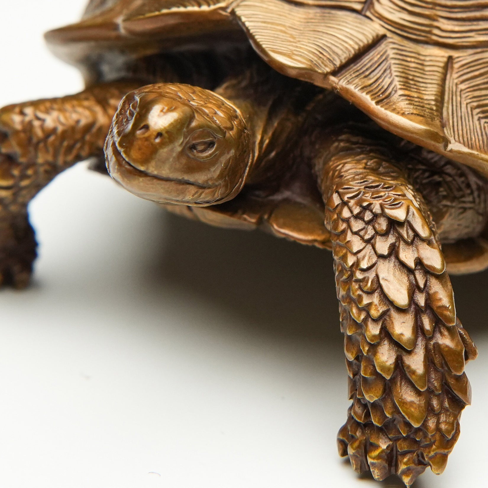 BOWUZHI Studio Sahel Tortoise Bronze Edition Model