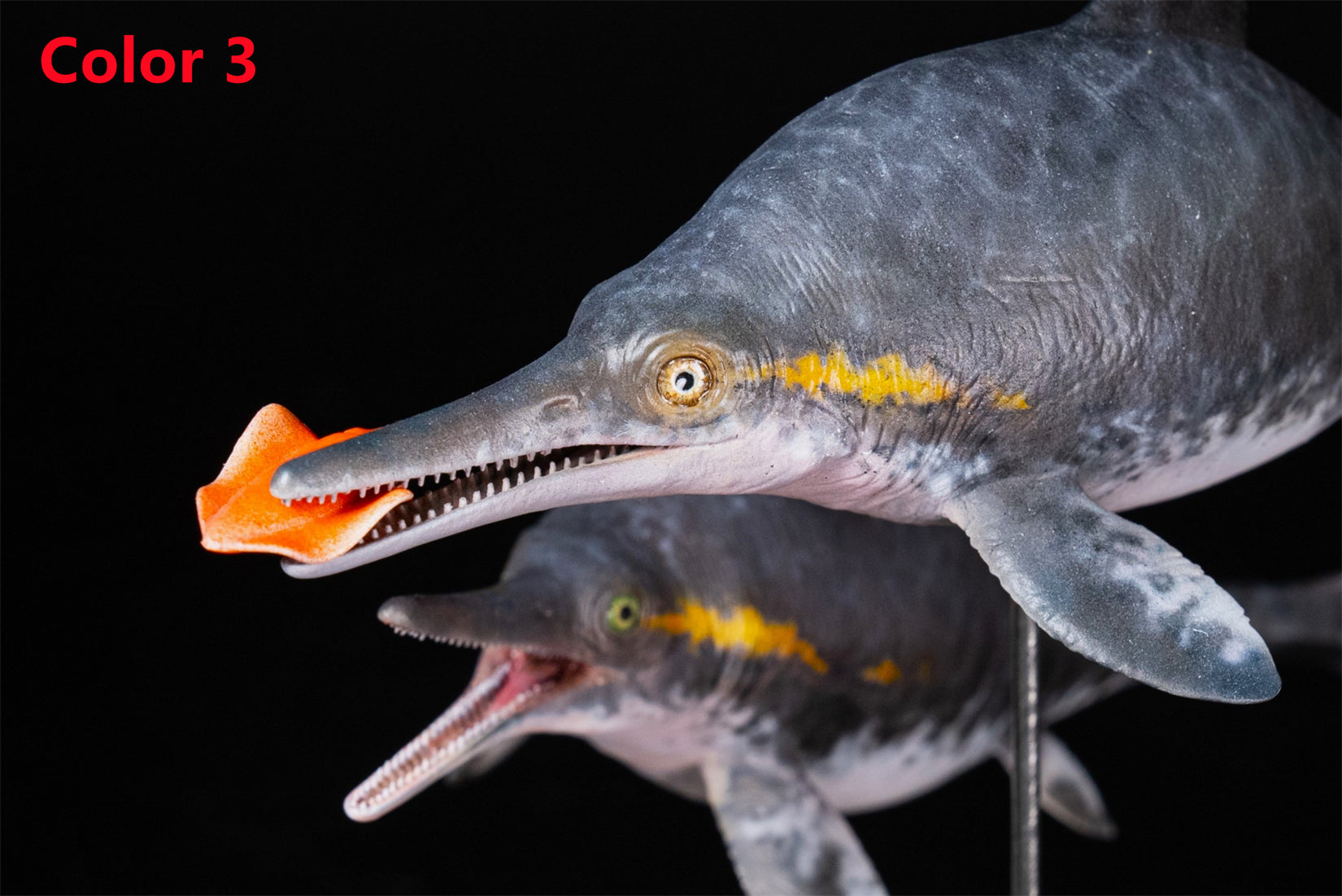 De CLAY Studio Ophthalmosaurus icenicus Model