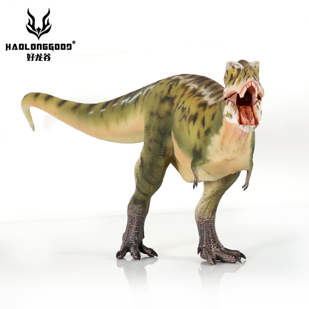 HAOLONGGOOD 1:35 Scale Tarbosaurus Model
