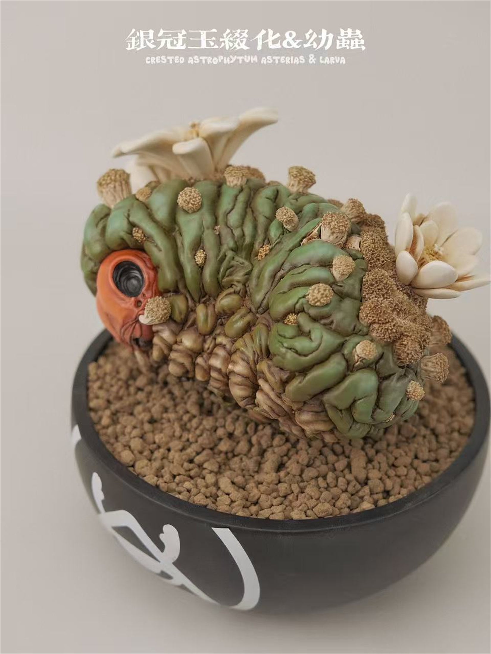 BOWUZHI Studio Caudiciform Monster World Model