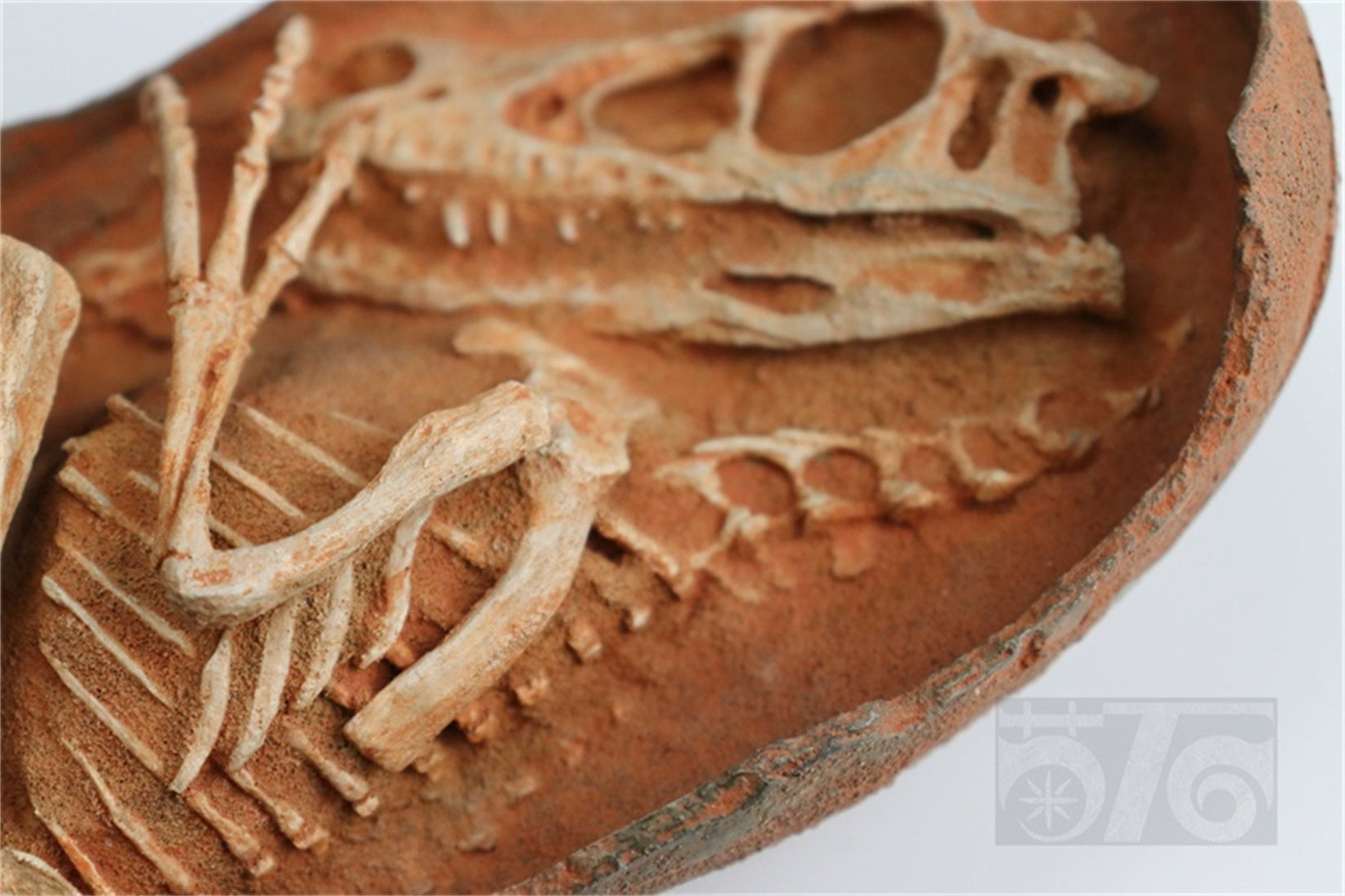 1:1 Scale Velociraptor Dinosaur Egg Model