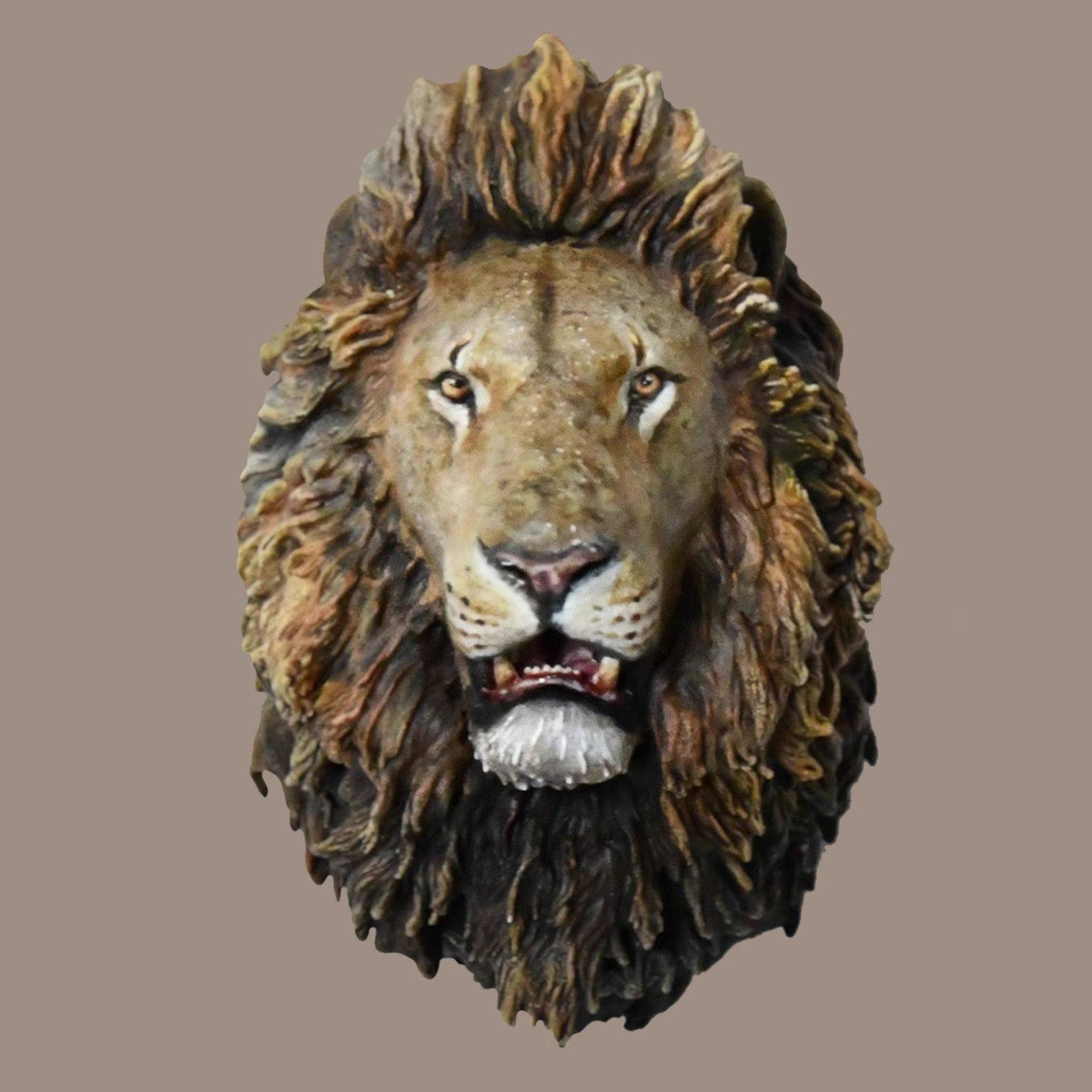 Schildkröten-Serie Tiermodell 