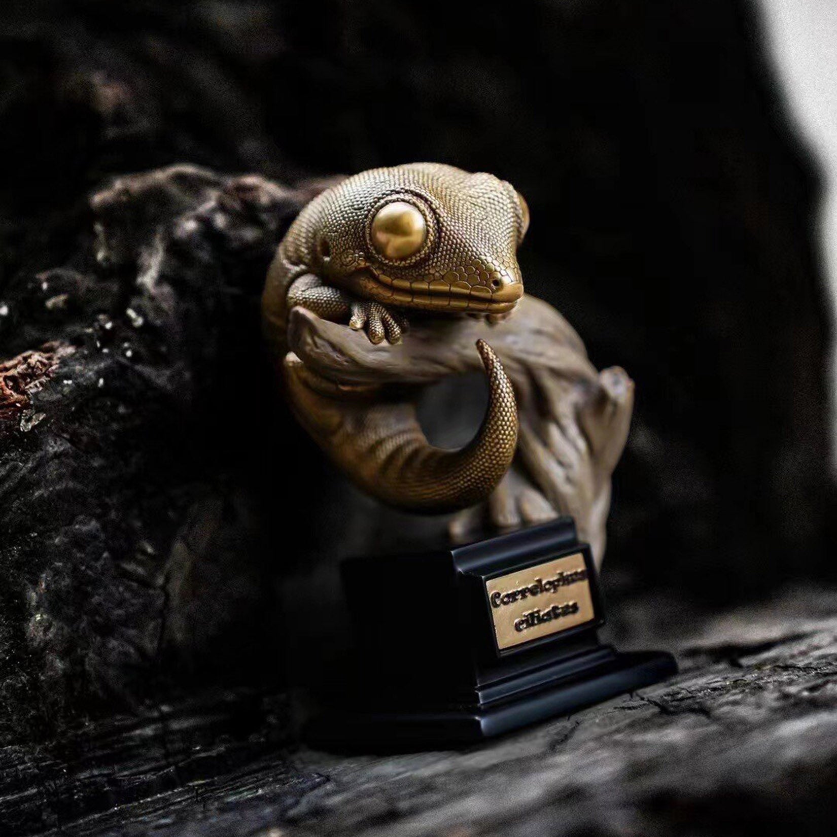 BOWUZHI Studio Bronze Geckos Model