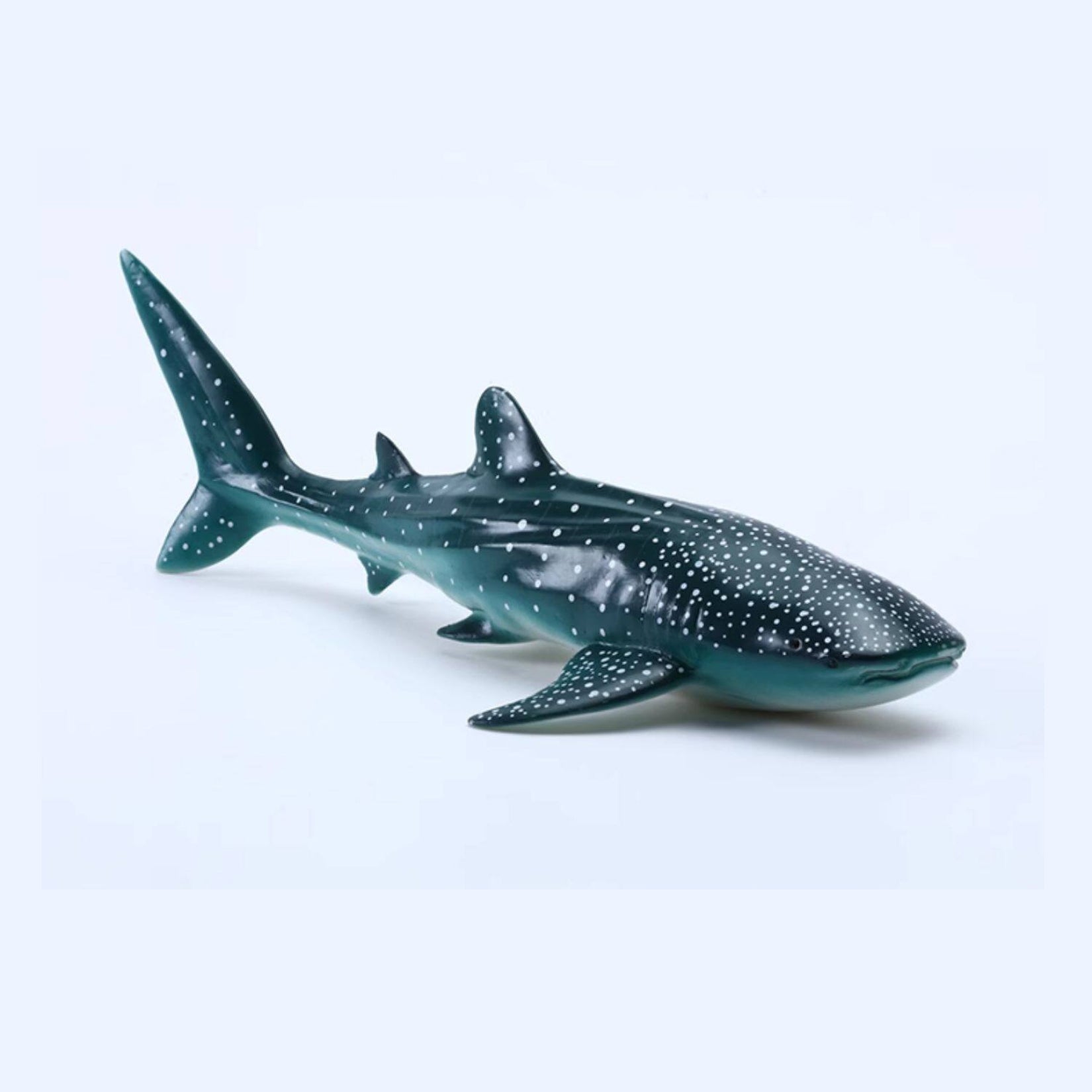 RECUR Whale Shark Model