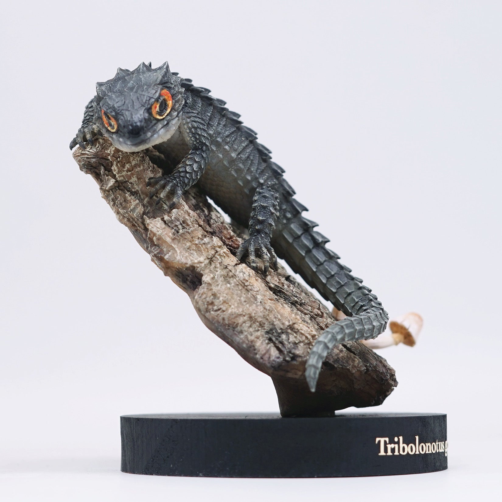 Schildkröten-Serie Tiermodell 