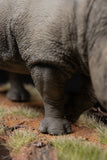 De CLAY Studio White rhinoceros Model