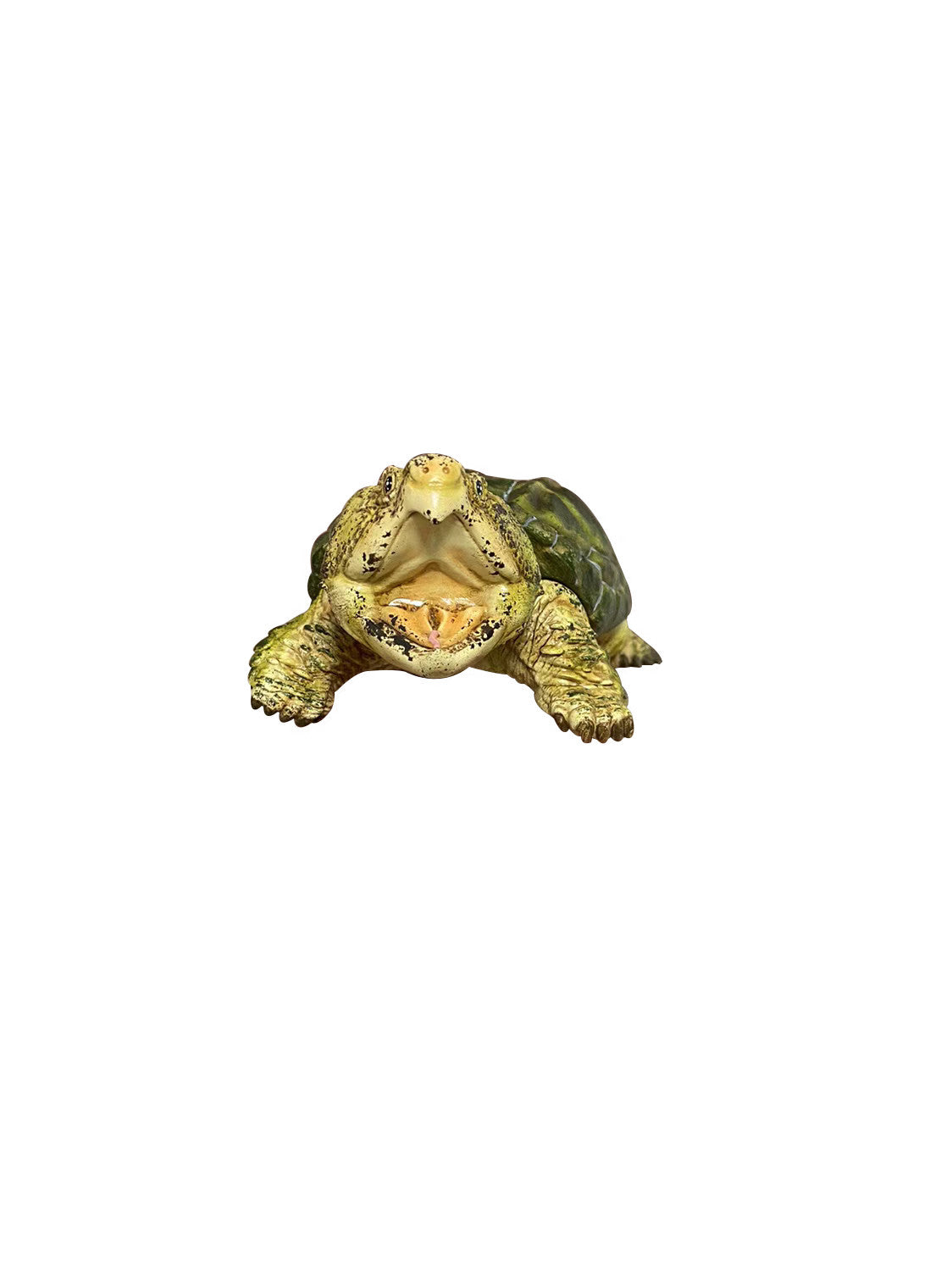 BOWUZHI Studio Macrochelys Temminckii Limited Edition