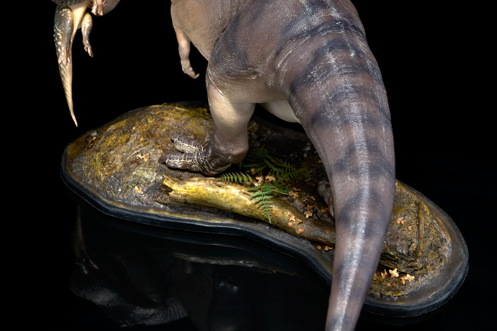 De CLAY Studio T. rex and Edmontosaurus Model