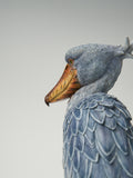 Shoebill Model