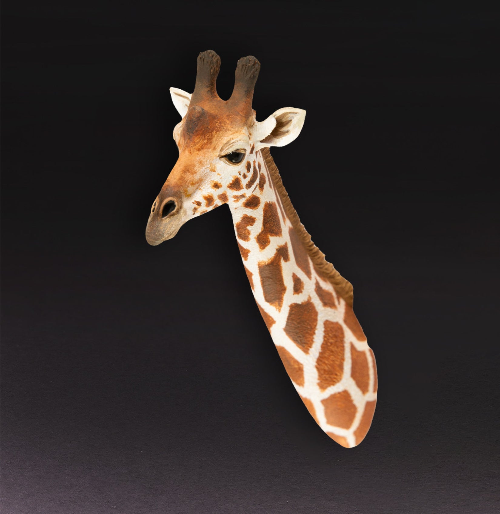 Animal Planet  World Encyclopedia Of Animals Volume 2