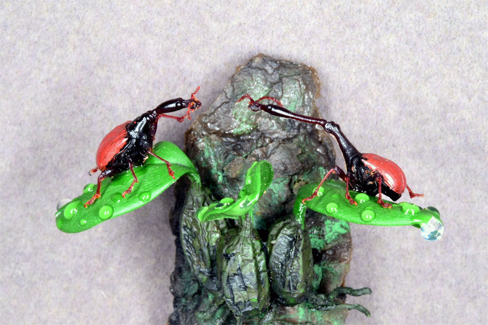 Trachelophorus Giraffa Insect Model