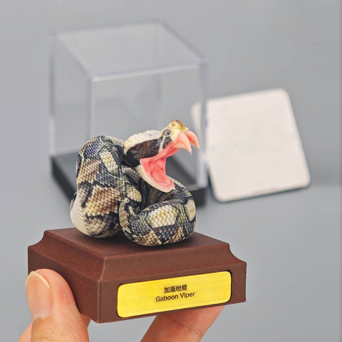 ViVid Studio Rhinoceros Viper & Gaboon Viper Model